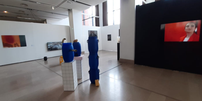 A la Biennale de la Jeune Création européenne