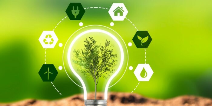 Hauts-de-Seine : Création société économie mixte locale énergie