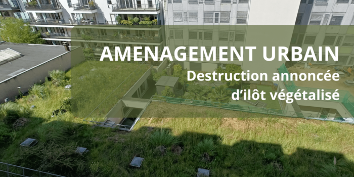 Gambetta/Ferry : destruction d’ilôt végétalisé